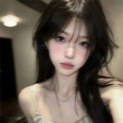 十三个原因第一季